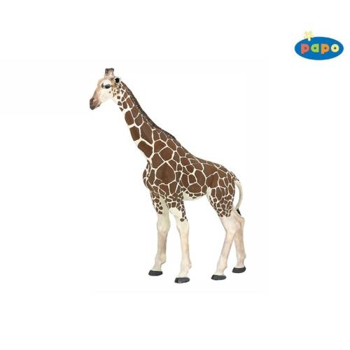 Girafa Papo
